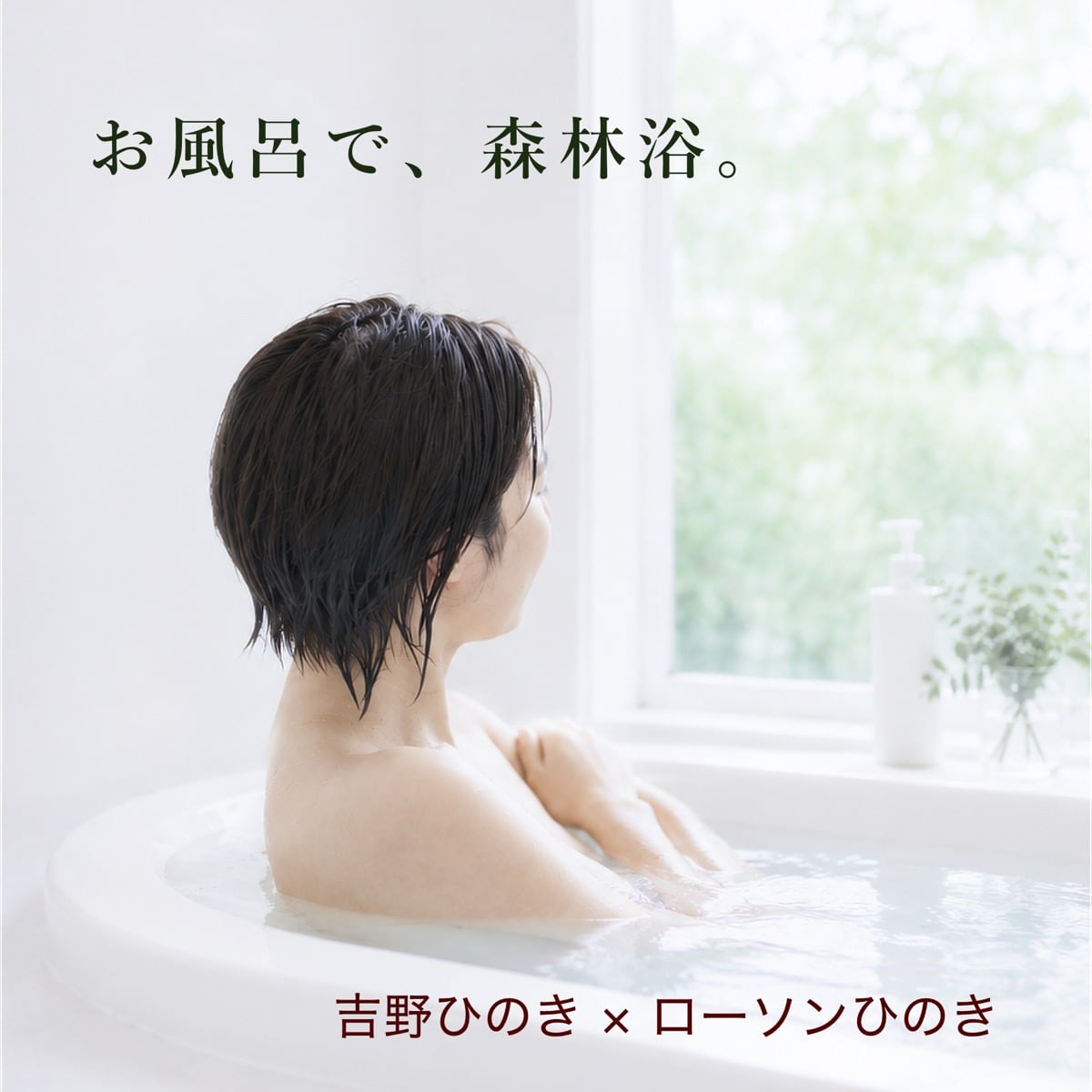 桧ゆ